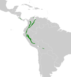 Pachyramphus versicolor map.svg