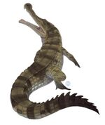 Sarcosuchus Illustration.jpg