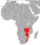Angola, Republic of the Congo, Mozambique, South Africa, Tanzania, Zambia, and Zimbabwe