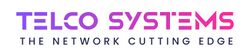 Telco System Logo.jpg