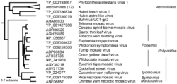Viruses-12-00132-g001.png