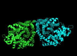Bornyl Diphosphate Synthase 2D.png