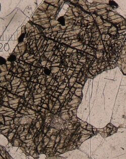 Igneous rock gabbro. Photomicrograph with one polar (cropped to specific cpx and plag).jpg