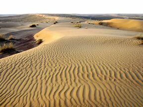 Karakum Desert, Turkmenistan.jpg