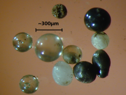 Light microscope images of stony cosmic spherules.png