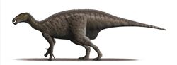 Mantellisaurus atherfieldensis Steveoc.jpg