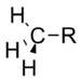 An arbitrary methyl group.