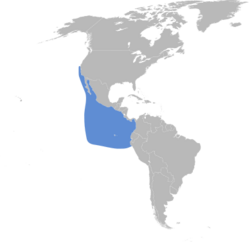 Oceanodroma melania map.svg