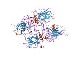 PDB 2ata EBI.jpg