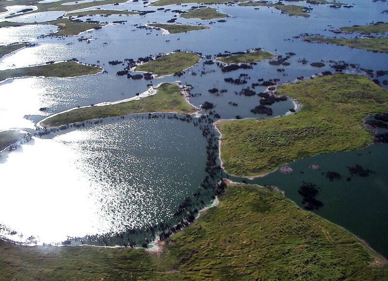 File:Pantanal, south-central South America 5170.jpg