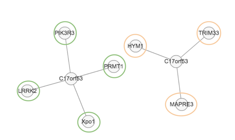 File:Protein interactions of c17orf53.png