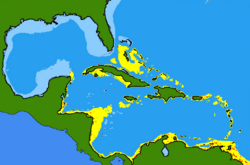 Rhizoprionodon porosus range.png