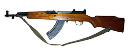 SKS-M.png