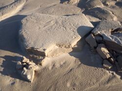 Sand covered shelf ice starts to crumble.jpg