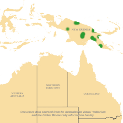 Atractocarpus-decorus-distribution-map.png