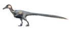 Austroraptor Restoration.png