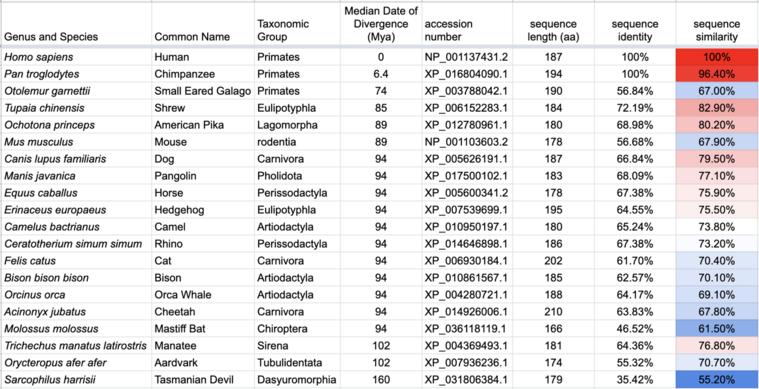 C2orf74 orthologs .png