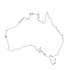 Cave Weta Distribution Map.png