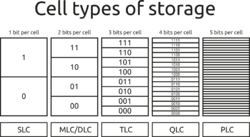 Cell types SLC-PLC in comparison 20211102.svg