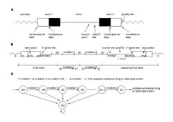 Computational Gene.jpg