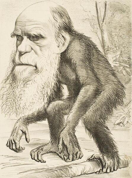 File:Editorial cartoon depicting Charles Darwin as an ape (1871).jpg