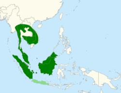 Map of Southeast Asia with green marking areas the banded broadbill is found