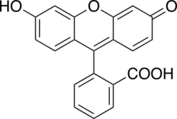 Fluorescein 2.svg