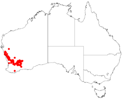 Hakea platyspermaDistMap108.png