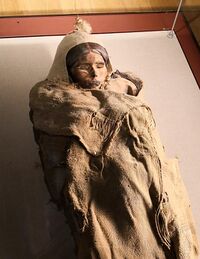 The corpse of a young woman wrapped in a cloak