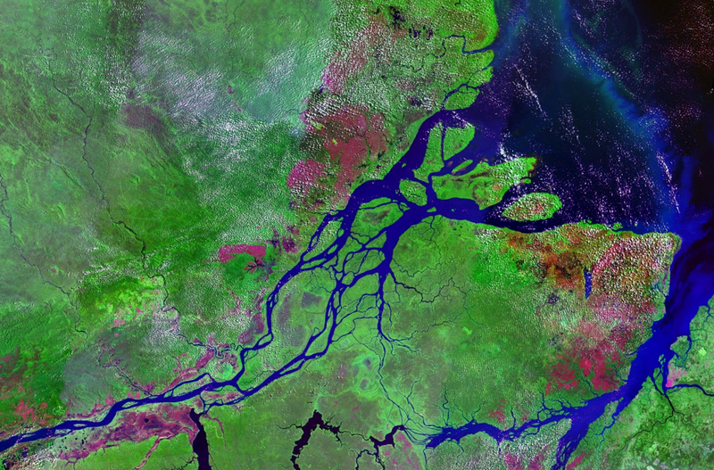 File:Mouths of amazon geocover 1990.png