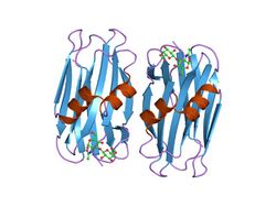 PDB 1y2u EBI.jpg