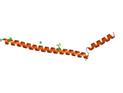 PDB 2q2f EBI.png