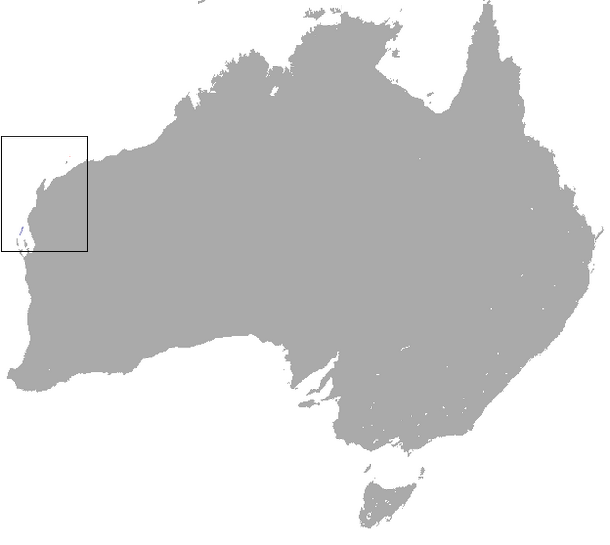 File:Rufous Hare Wallaby area.png