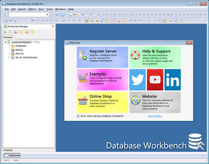Screenshot of Database Workbench 5.04.png