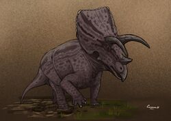 Sierraceratops.jpg