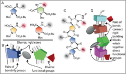 Spiroligomer Scaffolds.png