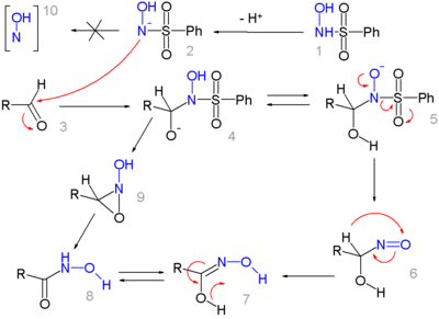 The mechanism of the Angeli-Rimini reaction