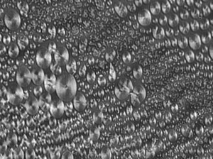 Complex phospholipid layer in liquid condensed phase in a Langmuir Trough, imaged by a Brewster angle microscope.