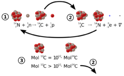 Carbon 14 formation and decay.svg