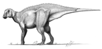 Gryposaurus-notabilis jconway.png