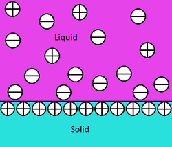 A diagram of a solid containing a line of positive charge bordering a liquid containing both negative and positive charges