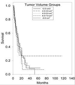 Kaplan-Meier curve Tumor Volume Size.png