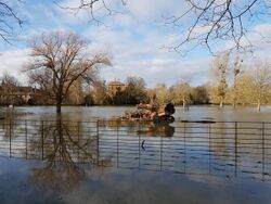 Magdalen college oxford water meadow flooded 1.jpg