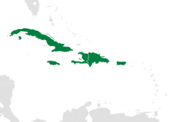Map of the Caribbean-Greater Antilles.png
