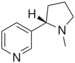 An image of the nicotine molecule.