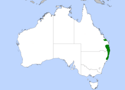 Paradise Riflebird Distribution Map.png