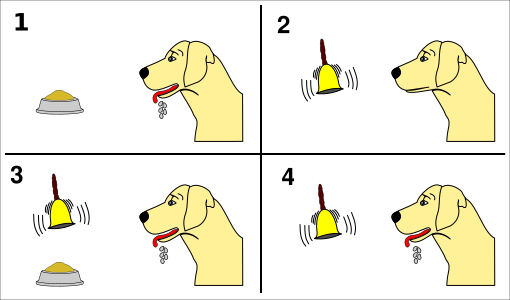 File:Pavlov's dog conditioning.svg