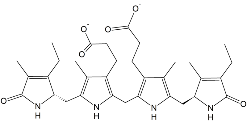 File:Structure of urobilinogen.png