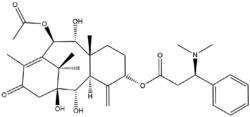 The molecular structure of taxine B