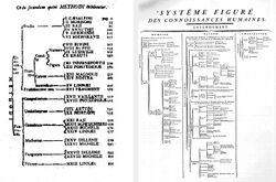 Taxonomy Linné & Diderot.jpg